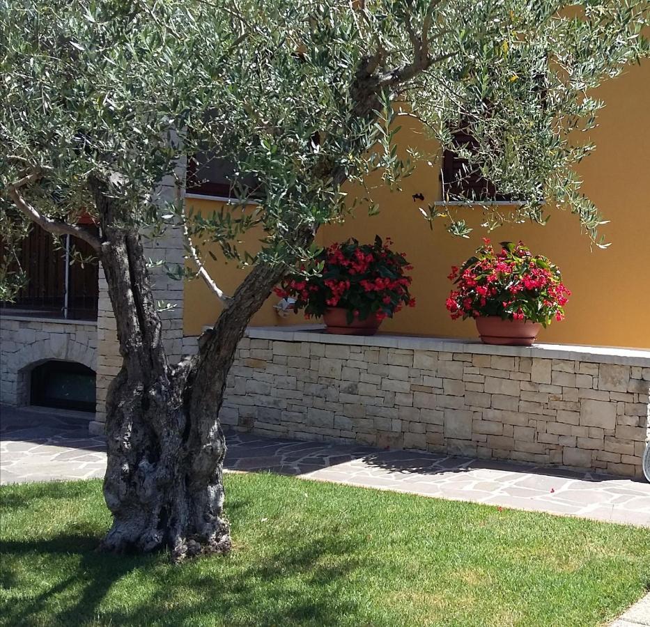 Studio Apartments Pinia-Marina Poreč Exterior foto